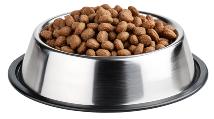 Dog food in stainless steel bowl isolated on transparent background, nutrition concept