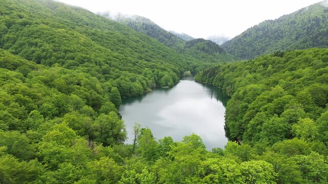 Biogradska Gora national park dense forest and Lake Biograd in summer, Sjerogoste, Drone shot