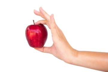 fresh red apple in hand on white background isolated