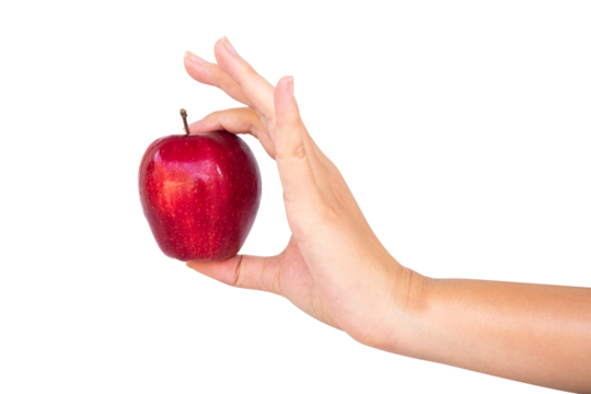 fresh red apple in hand on white background isolated