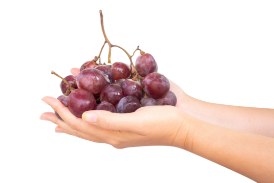 hand gesture giving a bunch of grapes with a transparent white background