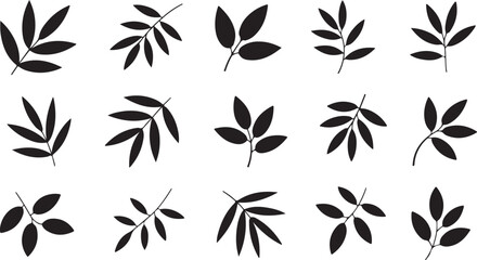 Foliage Leaf Branch Stem Twig Simple Organic Botany Nature Plant Element