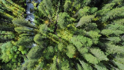Landscapses in Wanglang China National Park 