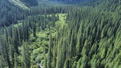 Obraz premium Landscapses in Wanglang China National Park 