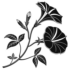 Stylized black and white morning glory flowers and leaves