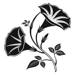 Stylized black and white morning glory flowers on black background