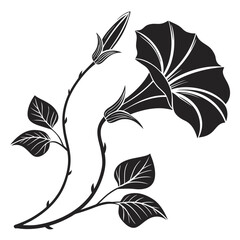 Black and white silhouette of a morning glory flower and buds