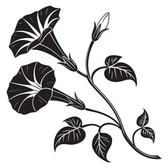 Stylized black and white morning glory flowers and leaves design