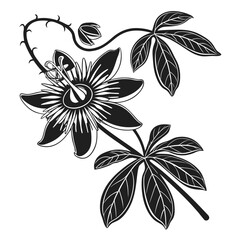 Obraz premium Elegant black and white passion flower and leaves illustration