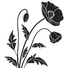 Elegant black and white illustration of poppies