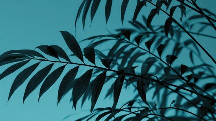 Lush, elegant, and captivating foliage displays a harmonious, monochromatic palette of teal and deep charcoal, presenting a serene and calming botanical composition that showcases delicate leaf...