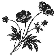 Elegant black and white floral illustration with anemone flowers