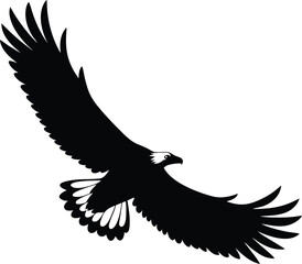 Obraz premium flying bald eagle vector illustration