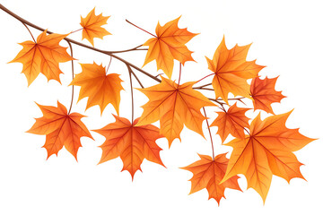 Autumn branch with vibrant maple leaves isolated on white background illustration