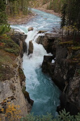 waterfall in the forest