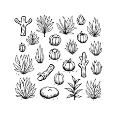 Elegant collection of botanical doodles showcasing plants, fruits and diverse desert flora in