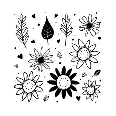 Elegant floral elements collection showcases simplicity and charm in botanical designs ideal for