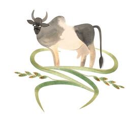 Malvi or Malavi, also Manthani or Mahadeopuri, is breed of zebu cattle, Indian cow. Cow in a composition of meadow grasses and flowers. Isolated watercolor illustration in retro style for packaging
