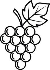 Fresh grapes outline illustration for delicious designs today