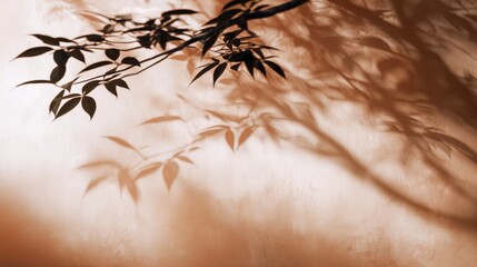 Obraz premium Dark plant branches cast a serene shadow pattern onto a warm textured wall.