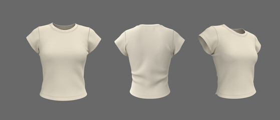 3D rendering of women’s slim fit short sleeve crew neck t-shirt mockup. Front, side, and back...