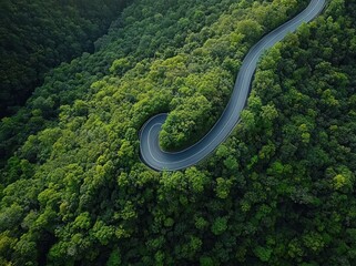 A winding road sharply curves through dense, lush green forest canopy in a serene natural landscape captured from above