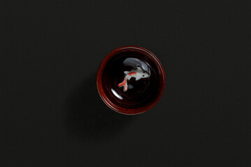 Sauce bowl on dark background