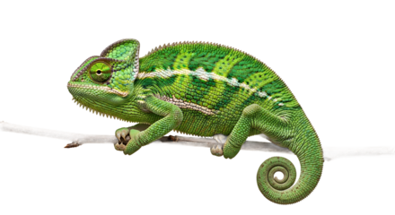 Elegant Desk Lamp in Minimalist Interior Design Setting