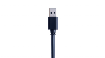 A close up shot of a usb cable with  in a vertical centered composition style image on transparent background
