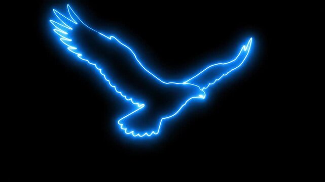 Neon Blue Eagle Silhouette on Black - A stylized video of an eagle in flight, video in a vibrant blue neon outline against a stark black background.