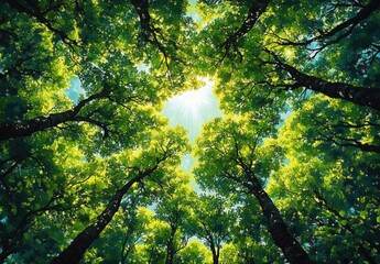 Fototapeta premium View looking up at tall green trees with sunlight shining through the leafy canopy on a clear day