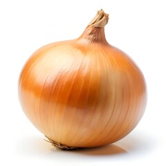 Isolated Yellow Onion with Root Fibers on White vegetable