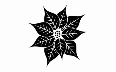 black and white flower