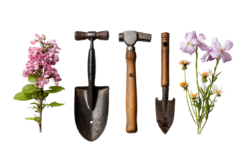 Gardening tools and flowers arranged in a still life