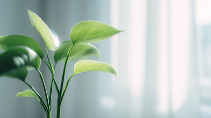 Fototapeta premium A small green seedling with dewdrops on its leaves emerges from a pile of glistening gold coins, symbolizing financial growth, investment, and sustainable business.