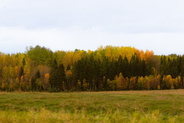 Fototapeta premium Fall 2025 Alberta, Canada