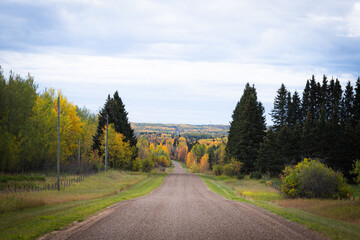 Fototapeta premium Fall 2025 Alberta, Canada