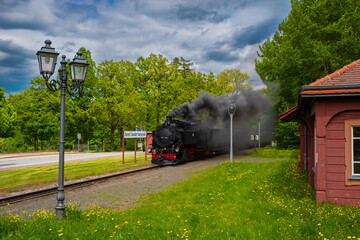 Historische Dampflok 99 758 der Zittauer Schmalspurbahn bei Kurort Jonsdorf.
Schwarzer Rauch, rote R&auml;der und Eisenbahnromantik pur &ndash; unterwegs im Naturpark Zittauer Gebirge