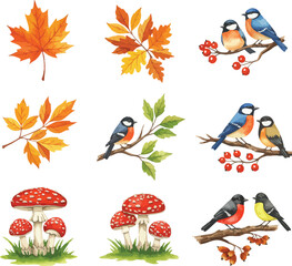 Fototapeta premium Charming autumn nature collection featuring birds maple leaves and mushrooms in vibrant colors
