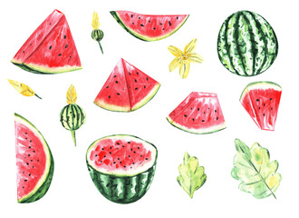 Watercolor set of watermelon clip art illustrations for sweet summer designs