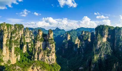 Majestic Zhangjiajie national forest park: towering sandstone pillars emerging from lush green forest, Wulingyuan Scenic Area, Hunan Province, China.