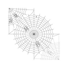 Obraz premium Spiderwebs with Spiders halloween spooky creepy arachnid scary decoration cobweb design illustration graphic animal insect danger fear