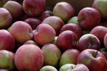 Heap of fresh red and green apples close-up. Natural fruit background with ripe organic apples, healthy food concept, and harvest season texture.