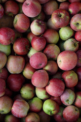 Heap of fresh red and green apples close-up. Natural fruit background with ripe organic apples, healthy food concept, and harvest season texture.