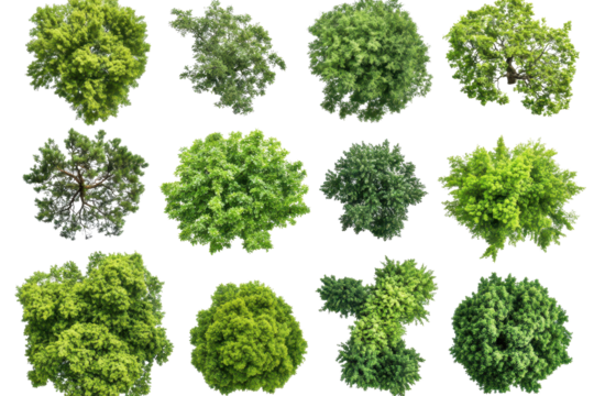 Diverse collection of lush green trees captured from an aerial view showcasing their unique shapes and sizes in a vibrant natural setting