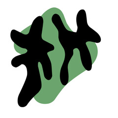 Abstract modern illustration, two irregular black wiggly shapes on soft green blobby background. Minimalist and trendy design perfect for contemporary art prints, posters, backgrounds, packaging.