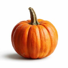 Obraz premium Isolated single orange pumpkin on pure white background
