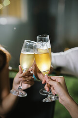 Close-up of friends clinking glasses of beer and wine during an outdoor barbecue party, celebrating and enjoying good times together.