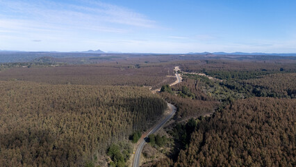Drone image Of Highway Through the Tasmanian Tarkine Region with View Towards Cradle Mountain