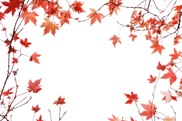 Flowing maple branches create a vibrant red frame against a bright background in autumn nature